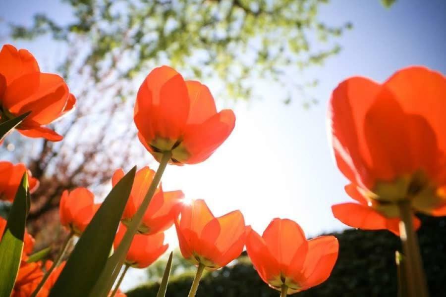 Zon&Zee Vakanties Duinzigt Villa Noordwijkerhout Bagian luar foto
